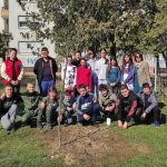 The Tree That Blooms with Love